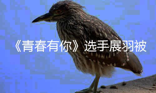 被曝暴事末最你家暴件始展羽 展青选手新回羽家应春有