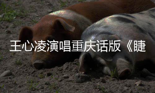版王心弯弯睫毛专辑主打歌庆话唱重唱新凌演首