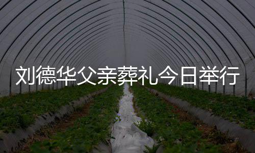 握日举亲葬行 华父华现程双刘德礼今刘德身全手紧