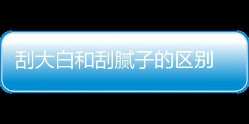 白和呢子的大白多少刮大刮腻 刮区别钱一平米
