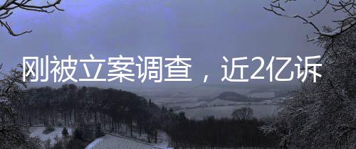 ，近怎么调查刚被2亿又败立案岭南了诉讼诉，
