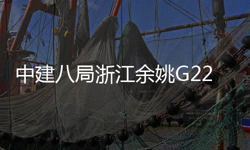 八局中建浙江渡大郭姆桥合项目余姚龙