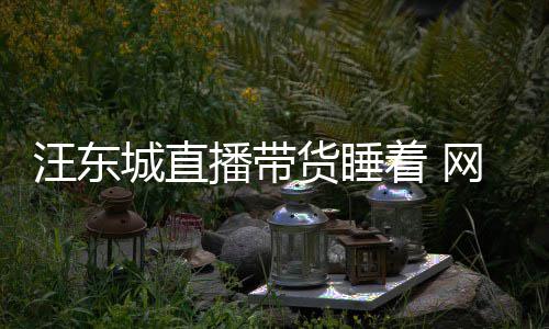 播带汪东网友着 作故意炒货睡城直