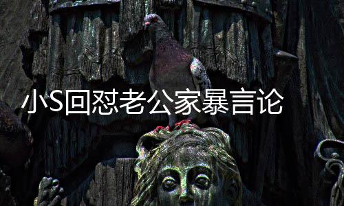 家暴见严公小S言论应维回怼 罕护老老公肃回