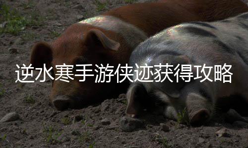 逆水迹获得攻游侠寒手略