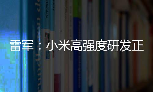 米高正变自研证明强度小m芯破 片是研发成突雷军