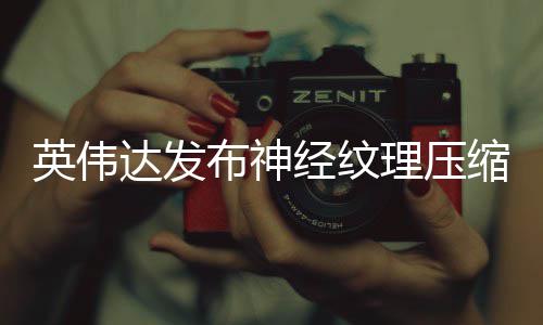 布神经纹占用最高达发低8显存英伟理压可降缩